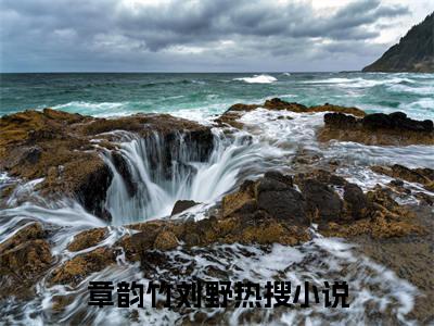 章韵竹刘野哑嫁完结篇（哑嫁）全篇免费版在线+无障碍结局