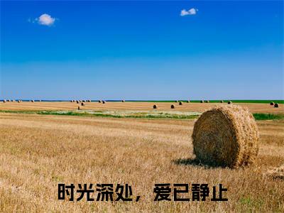 时光深处，爱已静止彩蛋小说结尾+附加（温素沈景行）清爽版阅读