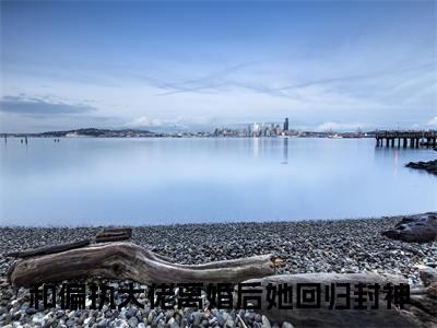 和偏执大佬离婚后她回归封神：贺霆舟宋妍结局+番外精编之作完整章节列表_笔趣阁
