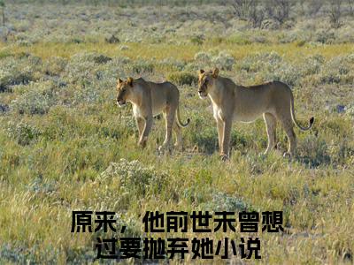 原来，他前世未曾想过要抛弃她小说完本章节前文+全篇阅读（段沐白花璎）连载中