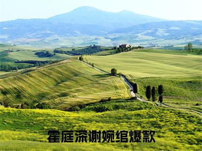 他入空门赴荣耀全文免费阅读_（霍庭深谢婉绾免费阅读无弹窗）霍庭深谢婉绾最新章节列表笔趣阁