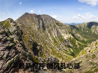 微风乱心湖：+后续人物讨喜无套路全集顾云起姜稚妍