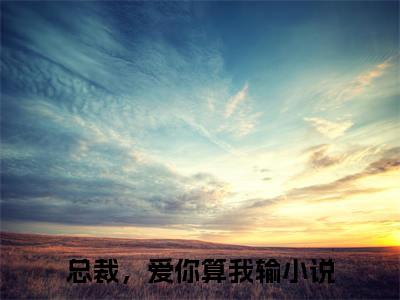 总裁，爱你算我输小说无删减阅读无干扰（温柠司聿修）番外+续集