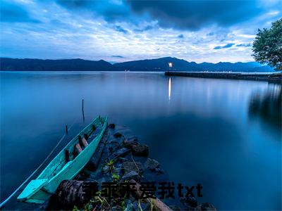 独家乖乖来爱我：结局+番外精编之作（厉霆骁江颜）电子书畅享阅读