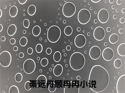 余生我们不必相逢（秦远舟顾冉冉）小说免费阅读无弹窗完整版_（秦远舟顾冉冉）余生我们不必相逢最新章节列表笔趣阁