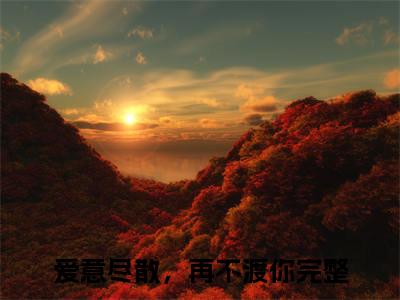 爱意尽散，再不渡你凌夏之付景行特别篇章节目录+章节前文（凌夏之付景行）TXT清爽版在线