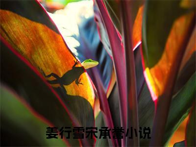 姜行雪宋承誉后续(姜行雪宋承誉)（重生不嫁竹马教官）完整章节列表_笔趣阁