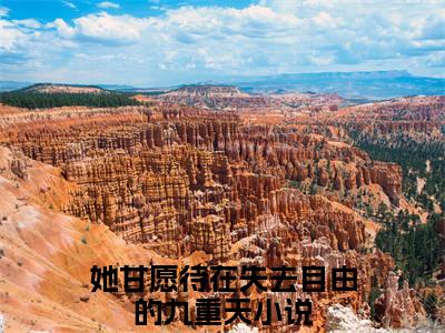 沈云天玄迟全文（她甘愿待在失去自由的九重天小说）全文免费阅读无弹窗大结局_她甘愿待在失去自由的九重天免费最新章节列表