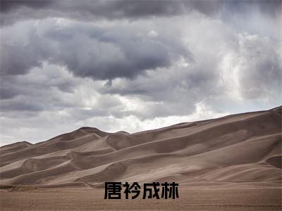 难抑悸动（唐衿成林）全文免费阅读无弹窗大结局_唐衿成林结局+番外看点十足_笔趣阁（难抑悸动）
