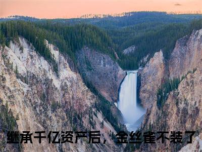（书荒必看）继承千亿资产后，金丝雀不装了小说TXT无套路阅读