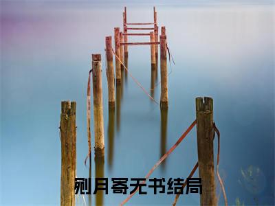 剜月寄无书：结局+番外免费品鉴姜若凝楚筱岚后续一口气无广告全书章节表