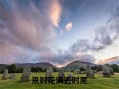 热文推荐盛思音陆景琛附加(盛思音陆景琛)来时花满去时芜：结局+番外免费品鉴