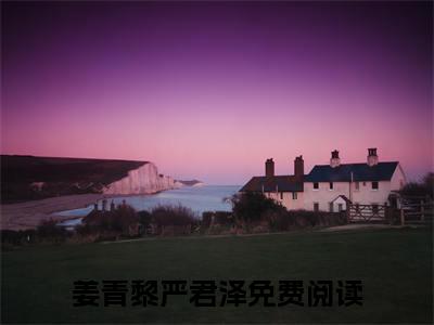 热文推荐姜青黎严君泽附加(姜青黎严君泽)转眼一场荒唐梦：结局+番外免费品鉴