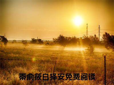 前传若无爱，九年而终续集(若无爱，九年而终)终章阅读极简（若无爱，九年而终）