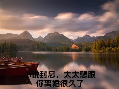 容辞封庭深小说(封总，太太想跟你离婚很久了)序章+全章阅读（容辞封庭深）最新章节
