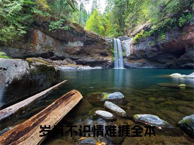 苏淮琛谢诗柔：结局+番外宝藏文全篇一口气_早期章节+后续（岁月不识情难捱）