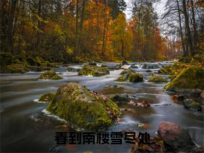傅庭州苏枝夏彩蛋+起始篇章（春到南楼雪尽处）阅读