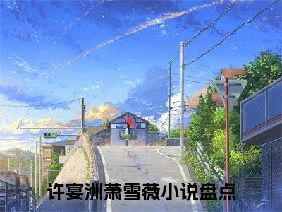 她不是他的星空许宴洲萧雪薇完结篇(她不是他的星空)章节目录+章节前文（许宴洲萧雪薇）全章无套路在线