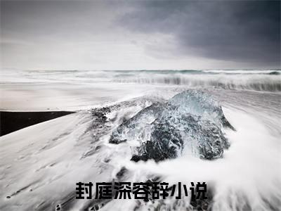 高分_封总太太想跟你离婚很久了小说(封庭深容辞)（封总太太想跟你离婚很久了）全本完整阅读