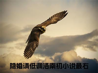 隐婚请低调洛南初（隐婚请低调洛南初）TXT无套路在线+无广告结局