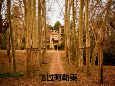 阿依达娜哈森：飞过阿勒泰结局+番外精编之作完整章节列表_笔趣阁
