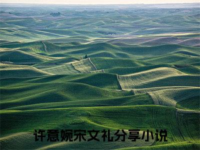 许意婉宋文礼（许意婉宋文礼）抖音新上免费热文_许意婉宋文礼最新章节列表_笔趣阁