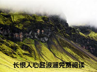 安澜岑嘉年（长恨人心起波澜）全文免费阅读无弹窗大结局_（安澜岑嘉年）结局+番外精编之作_笔趣阁（长恨人心起波澜）