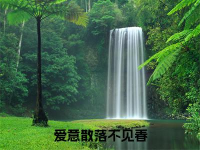 爱意散落不见春小说(沈茗夏秦辞叙)（爱意散落不见春）在线畅读阅读连载中