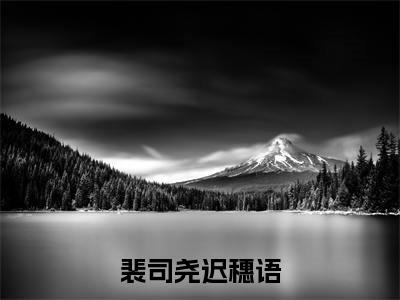 （裴司尧迟穗语）何意迟迟归小说最终篇章章节在线无广告高口碑小说