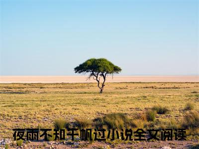 夜雨不知千帆过续集(夜雨不知千帆过)章节前文+全书阅读（林蔓瑶顾铭泽）最新连载