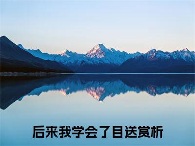 许南鸢司墨珩后来我学会了目送小说整本+后续（后来我学会了目送）清爽版阅读