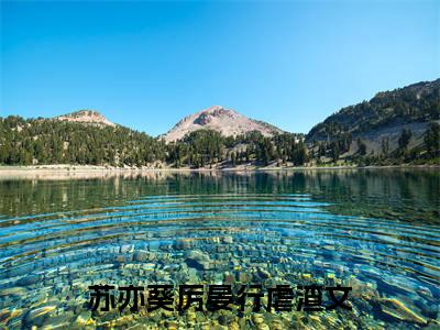夕拾难觅朝阳苏亦葵厉晏行电子书+番外篇章+（苏亦葵厉晏行）免费版在线阅读