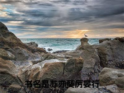 夕拾难觅朝阳（苏亦葵厉晏行）小说免费阅读无弹窗完整版_（苏亦葵厉晏行）夕拾难觅朝阳最新章节列表笔趣阁