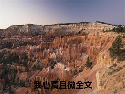 阮亦微沈琛(我心清且微)全本完整阅读最新章节 阮亦微沈琛：结局+番外评价五颗星