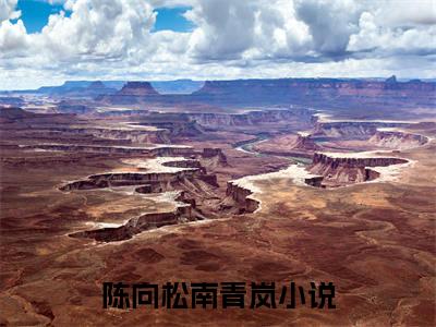 陈向松南青岚小说（爱恨交织，青青成林）+后续+结局在线阅读