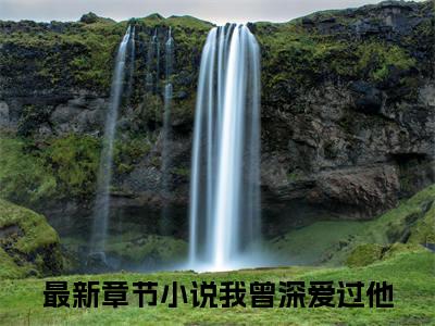 许柚柠沈知序(我曾深爱过他)（许柚柠沈知序）前传+阅读全新作品预订