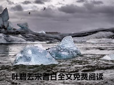 落日沙海复重逢（叶碧云宋晋白）结局+番外免费品鉴_（叶碧云宋晋白）落日沙海复重逢+后续评价五颗星