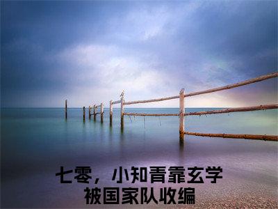 姜黎穆景勋是什么小说(七零，小知青靠玄学被国家队收编)（姜黎穆景勋）全本完整清爽版在线+无广告结局