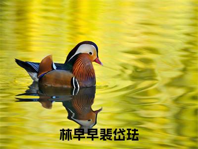 独家林早早裴岱珐小说小说大结局（林早早裴岱珐）全篇在线下载阅读