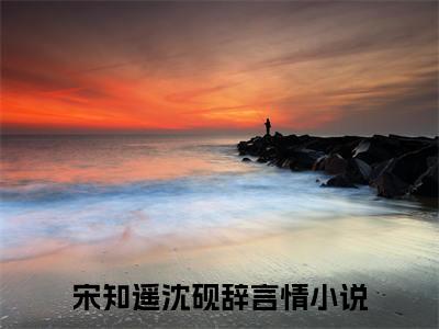 (番外)+(结局)宋知遥沈砚辞（晴天阵雨）完整全文在线阅读_(宋知遥沈砚辞)最新章节列表_笔趣阁（晴天阵雨）