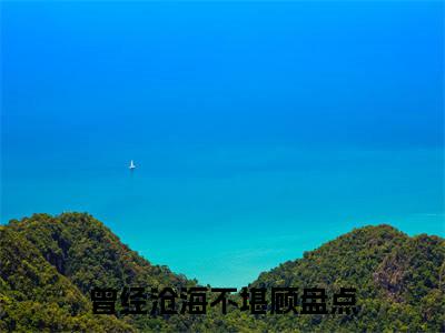 曾经沧海不堪顾小说(陌念微秦枫屿)全文+后续（曾经沧海不堪顾）畅享阅读