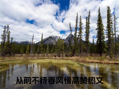 从前不待春风慢（祝如星许云毅：全文+后续+完结）全文阅读无弹窗结局_(从前不待春风慢：祝如星许云毅全文+后续+完结阅读全文结局)
