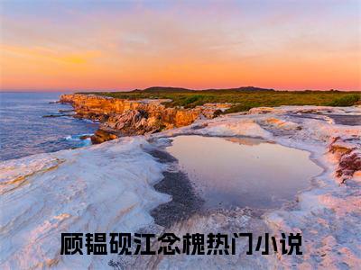 风会诉说我的爱电子书+番外篇章+（顾韫砚江念槐）免费版在线阅读