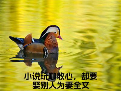 小说玩咖收心，却要娶别人为妻小说已更新+番外篇章（虞明棠傅霆烨）纯净阅读