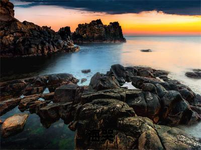 海哭(肖海音白业)全本完整阅读最新章节 海哭：结局+番外评价五颗星