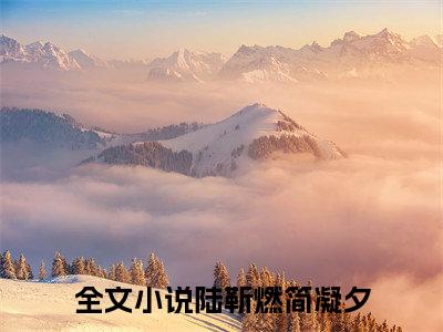 爱意清浅随风离陆靳燃简凝夕附加(爱意清浅随风离)（陆靳燃简凝夕）全本浏览阅读连载中