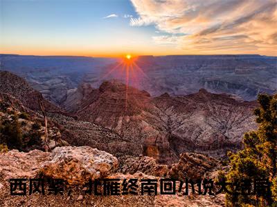 新章速递西风紧，北雁终南回是什么小说(谢瑾顾九川)完本阅读无广告（西风紧，北雁终南回）