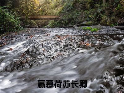 她从不信天命（赢慕荷苏长卿）TXT无套路在线+无广告结局