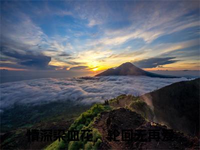 周思雨顾子皓（情深染血花，轮回无再爱）结局+番外免费品鉴_（周思雨顾子皓阅读全文大结局）情深染血花，轮回无再爱最新章节列表
