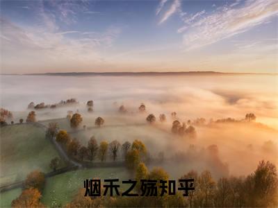 林烟禾夏鸣渊埕郎小说（烟禾之殇）TXT无套路在线+无广告结局